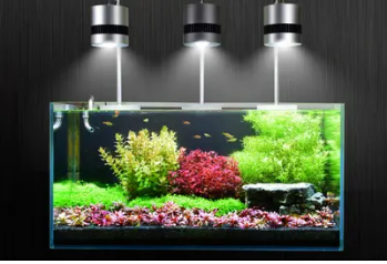 上海大自然水族研究所（上海大自然水族研究所地址）