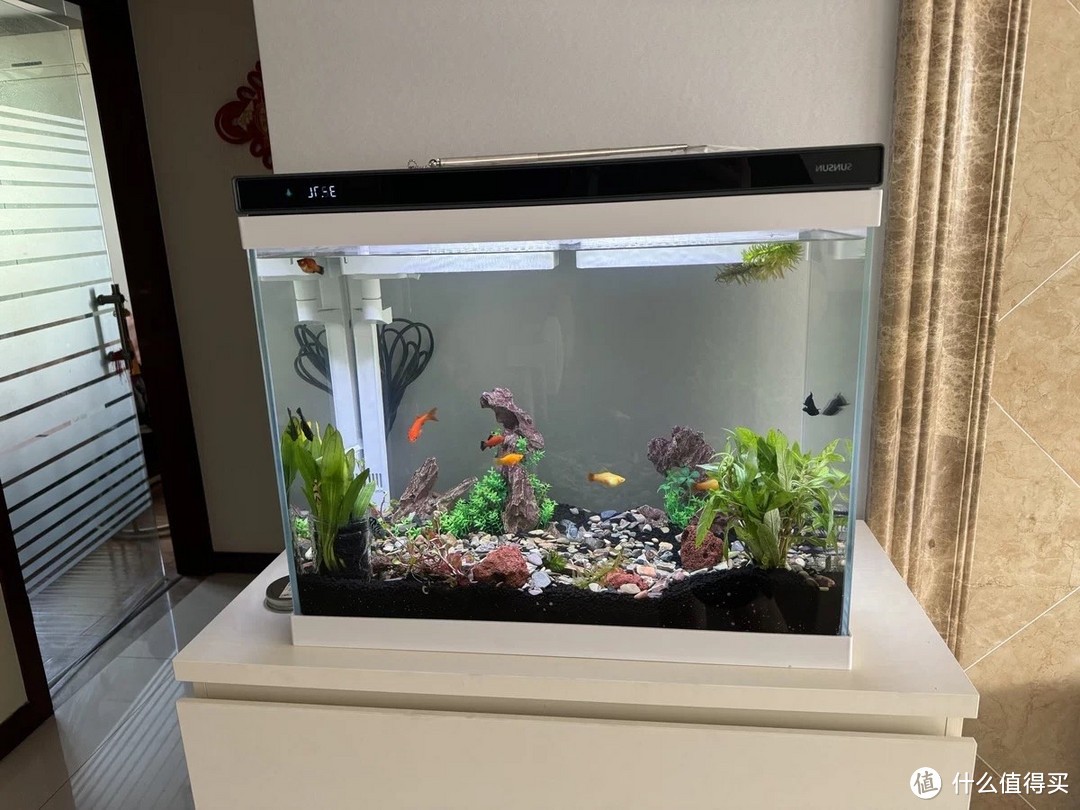 長沙市雨花區(qū)連誠水族館（長沙市雨花區(qū)連誠水族館地址）