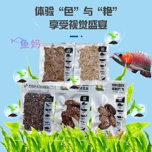 紅龍魚吃大麥蟲好嗎：關(guān)于紅龍魚吃大麥蟲的一些建議
