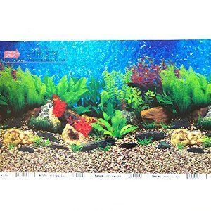 森森魚缸背景