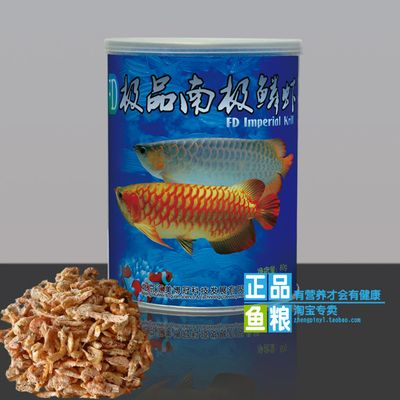 紅龍魚吃什么飼料：關于紅龍魚飼料的詳細介紹