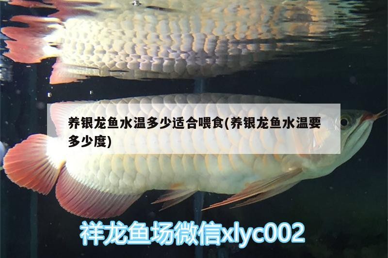龍魚卷腮如何治療，龍魚卷腮會自己好嗎，龍魚卷腮有哪些原因，龍魚卷腮可以自愈嗎？