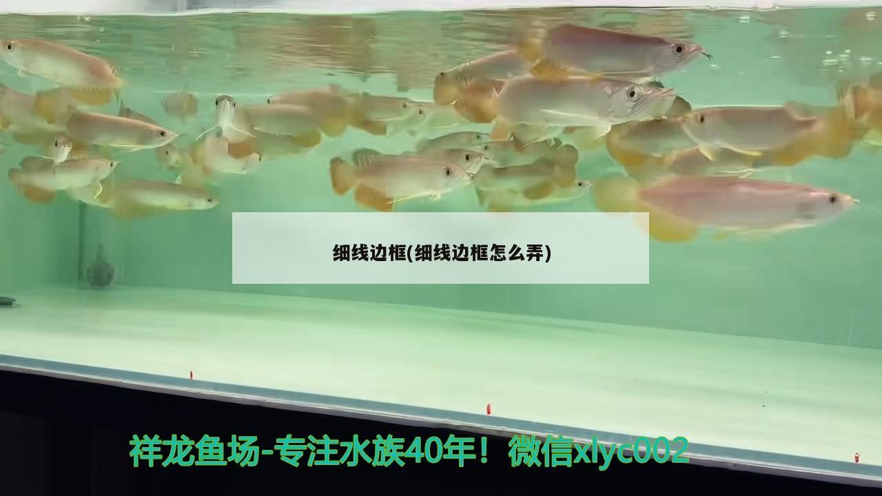 細線邊框(細線邊框怎么弄)