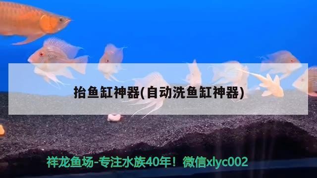 抬魚缸神器(自動洗魚缸神器)