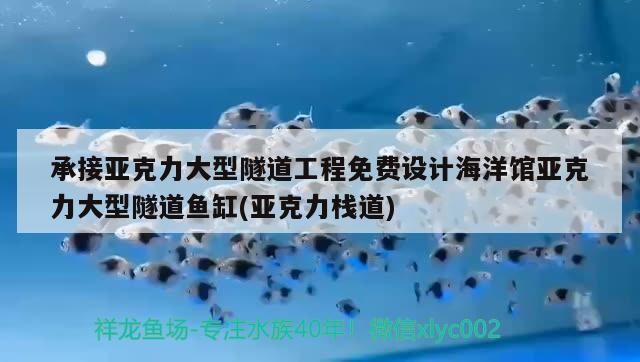 承接亞克力大型隧道工程免費(fèi)設(shè)計(jì)海洋館亞克力大型隧道魚(yú)缸(亞克力棧道)