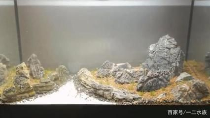 超大型魚缸造景設計：大型魚缸造景設計