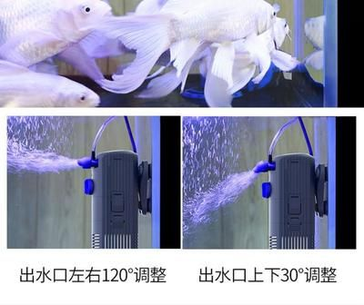 大魚(yú)缸如何清潔濾網(wǎng)：如何清潔大魚(yú)缸濾網(wǎng)
