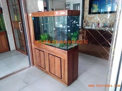 玻璃魚缸樣品圖：廣州海鮮魚缸定做和維修服務廣州東坦魚缸定做和維修服務