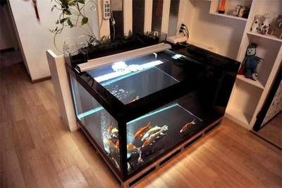 冰箱改造魚缸：冰箱改造魚缸方法總結：冰箱改造魚缸的方法總結如下