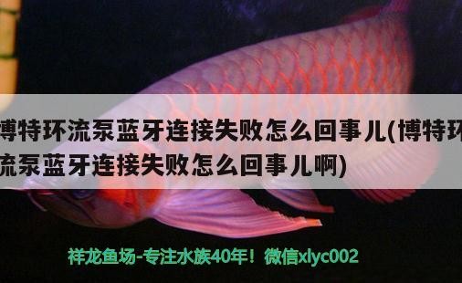 博特環流泵藍牙連接失敗怎么回事兒(博特環流泵藍牙連接失敗怎么回事兒啊)