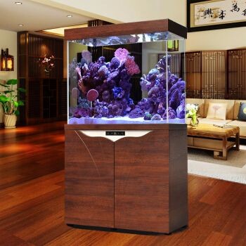 大型魚缸去哪里買比較便宜又好：購買大型魚缸時要考慮價格和質量和質量是否符合自己的需求