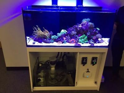 大型魚缸去哪里買比較便宜又好：購買大型魚缸時要考慮價格和質量和質量是否符合自己的需求