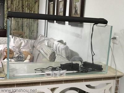 搬運魚缸多少錢一噸價格：搬運魚缸多少錢一噸價格魚缸搬運注意事項在哪
