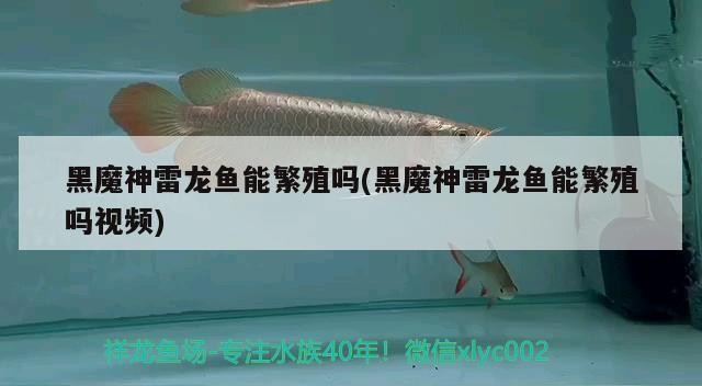 博特拉大學研究生招生簡章：博特拉研究生學費