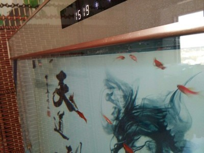魚缸黑底色怎么改色好看（魚缸黑底色怎么改色好看圖片）