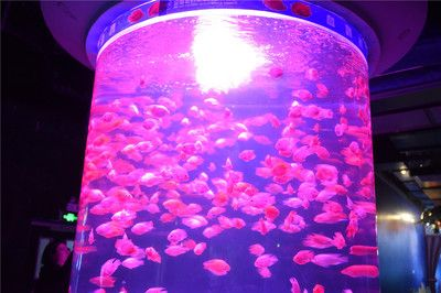 六安水族館vs祥龍魚場（六安水族館與祥龍魚場之間的差異之前，我們需要明確兩者的主要業(yè)務(wù)和特點(diǎn)）