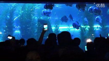 阜新水族館vs祥龍魚場（阜新市沒有自己的海洋館，需要前往其他城市如撫順、營口或大連等地）