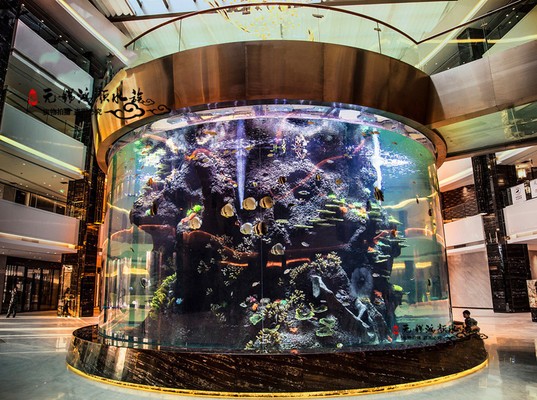 大型魚缸定制廠家 龍魚百科 第2張 大型魚缸定制廠家 大型魚缸定制廠家 龍魚百科 第2張