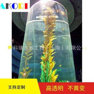 大型魚缸定制廠家 龍魚百科 第3張 大型魚缸定制廠家 大型魚缸定制廠家 龍魚百科 第3張