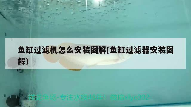 臺灣魚缸過濾桶圖片及價格大全（臺灣魚缸過濾桶圖片及價格大全集）