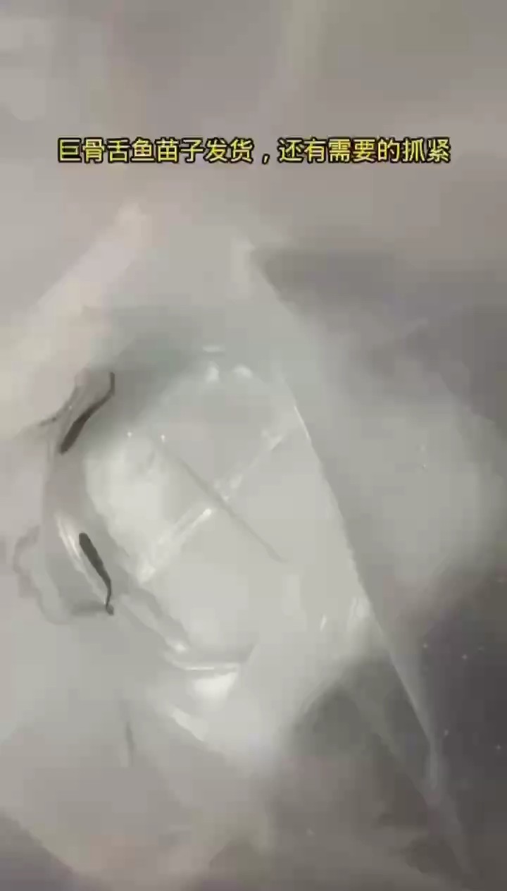 發(fā)貨