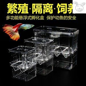 大魚缸隔離盒養小魚可以嗎：在大魚缸中使用隔離盒養小魚需要注意以下幾點