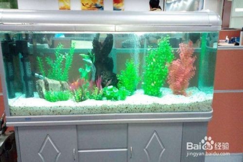 除魚缸水垢的方法哪種最有效：如何去除魚缸水垢？