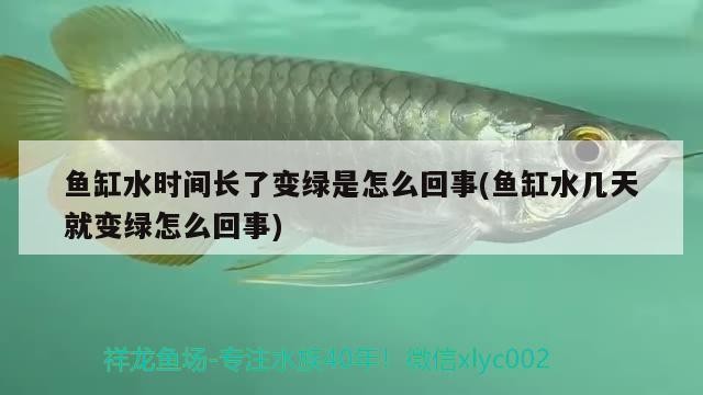 博特拉大學碩士容易畢業嗎：海外免聯考雙證碩士靠譜嗎