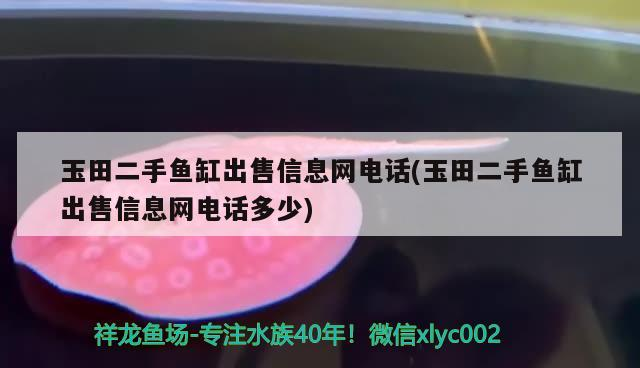 玉田二手魚缸出售信息網電話(玉田二手魚缸出售信息網電話多少) 玉田二手魚缸出售信息網電話(玉田二手魚缸出售信息網電話多少) 魟魚百科