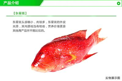 紅龍魚品牌推薦知乎文章怎么寫的：紅龍魚品牌市場評價對比紅龍魚品牌歷史與發展