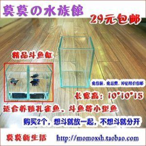 斗魚缸放底砂好不好養(yǎng)：如何選擇合適的魚缸底砂