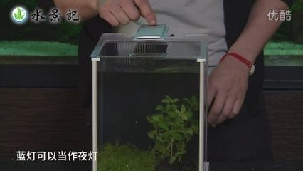 大型魚缸安裝視頻教學全集：大型魚缸的安裝步驟和注意事項