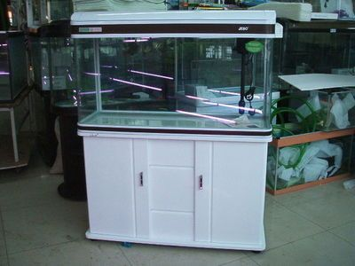 大型魚缸安裝視頻教學全集：大型魚缸的安裝步驟和注意事項