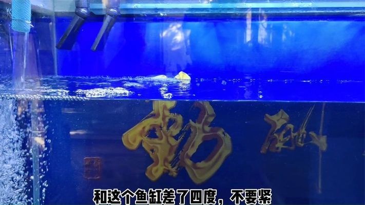 森森魚缸玻璃有多厚(森森魚缸是什么材質的)
