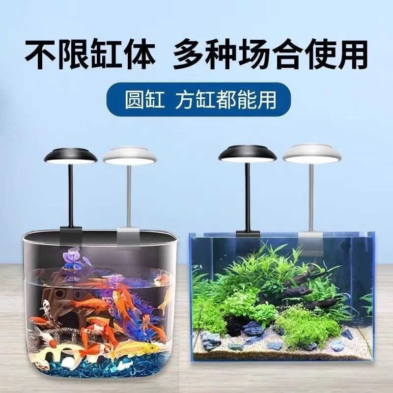 舊魚缸怎么樣翻新好用