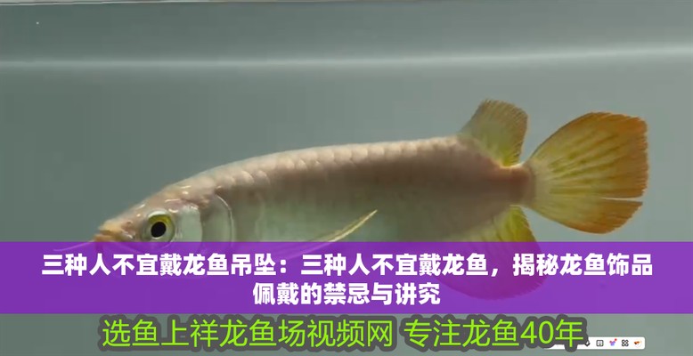 龍魚最忌三種屬相