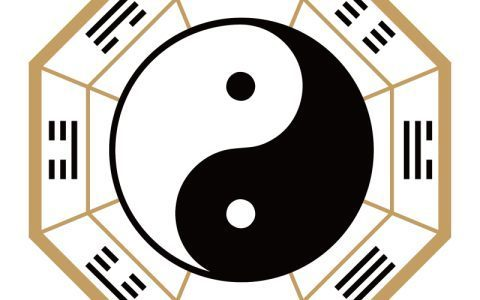 什么屬相不能養龍魚