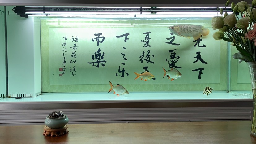 闖禍了闖禍了闖禍了