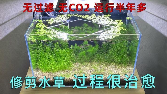 華澤集團有限公司（華澤集團有限公司(金六福企業)）