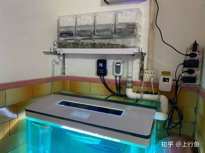 成品魚缸上濾改造:成品魚缸上濾改造方式 魚缸百科 第3張 成品魚缸上濾改造:成品魚缸上濾改造方式 成品魚缸上濾改造:成品魚缸上濾改造方式 魚缸百科 第3張
