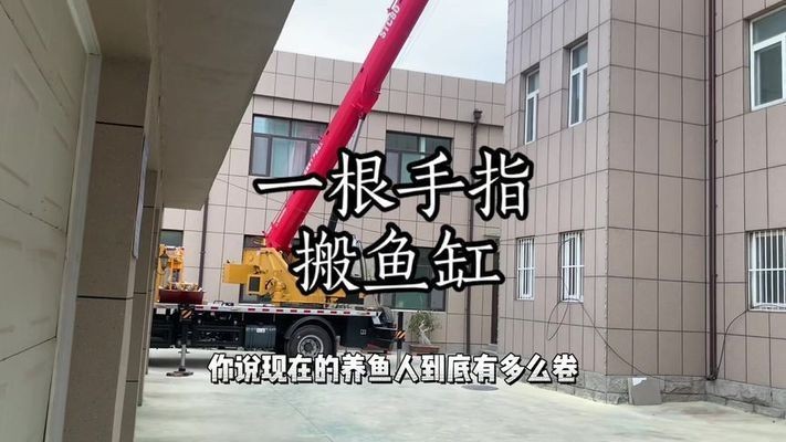 大魚缸怎么搬上樓的：如何有效地將大魚缸搬上樓