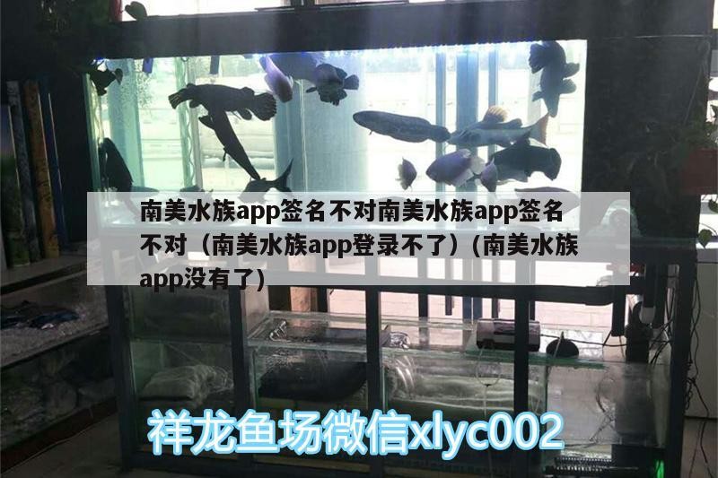 南美水族app簽名不對南美水族app簽名不對（南美水族app登錄不了）(南美水族app沒有了) 南美水族app簽名不對南美水族app簽名不對（南美水族app登錄不了）(南美水族app沒有了) 虎魚百科