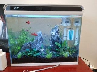 sunsun魚缸放水視頻：sunsun魚缸放水教程 sunsun魚缸放水視頻：sunsun魚缸放水教程 森森魚缸 第4張