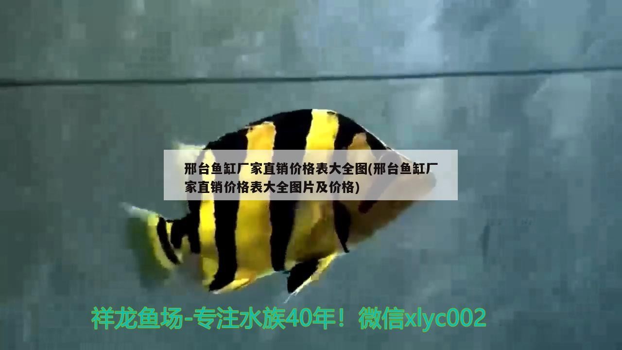 邢臺魚缸廠家直銷價格表大全圖(邢臺魚缸廠家直銷價格表大全圖片及價格)