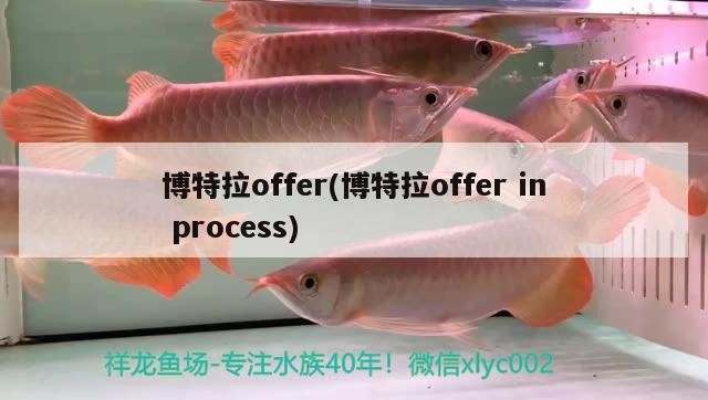 博特拉offer(博特拉offerinprocess)