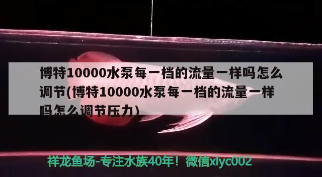 博特10000水泵每一檔的流量一樣嗎怎么調節(博特10000水泵每一檔的流量一樣嗎怎么調節壓力)