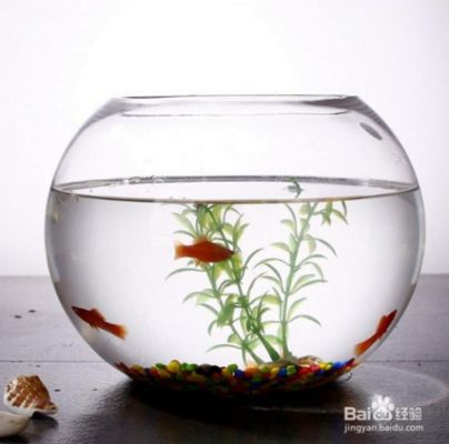 超白魚缸劃痕能不能修復好：北京元智玻璃科技有限公司超白魚缸劃痕修復方法