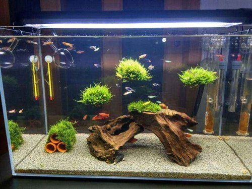 畢節市鵬程水族館（畢節市鵬程水族館地址）