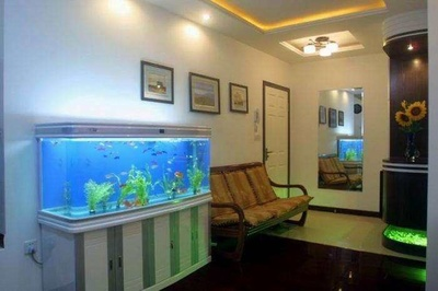 唐山市開平區(qū)興順水族店（唐山市開平區(qū)興順水族店電話）