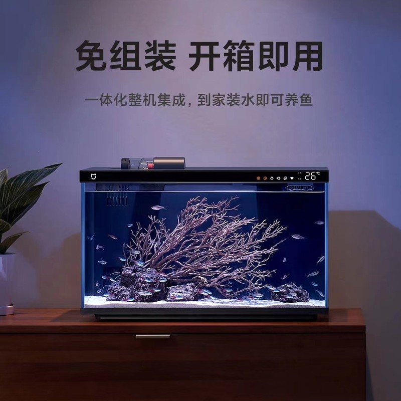 清潔工不清理魚缸怎么辦呀（清潔工不清理魚缸怎么辦呀視頻）